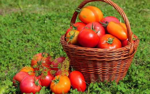 960150 (a): :2880x1800